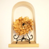 サンプラス あったか北欧風の家。施工例